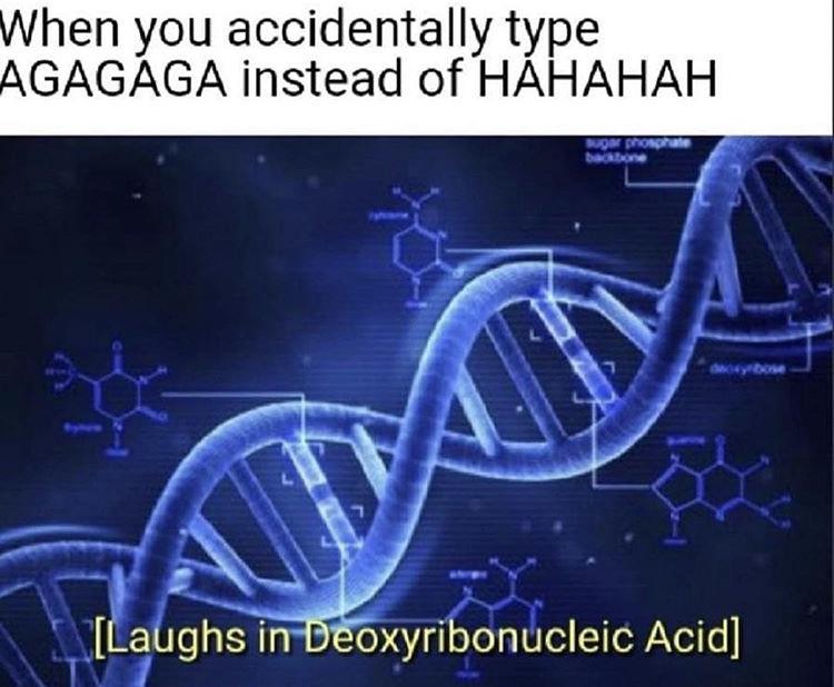 Laughs In Deoxyribonucleic Acid