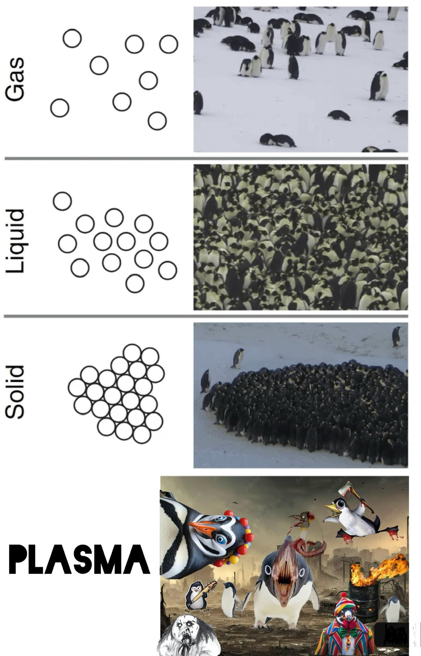 Penguins Vs States Of Matter