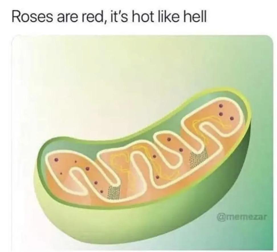 Roses Are Red, Mitochondria Is Gold