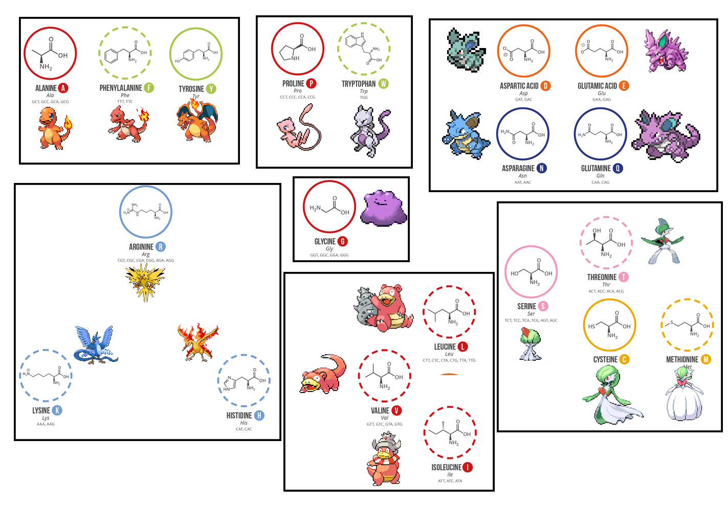 Amino Acids But They Have Evolutions