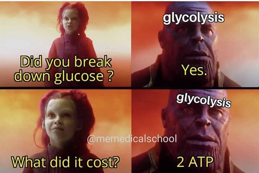 The Inevitable Cost Of Cellular Energy