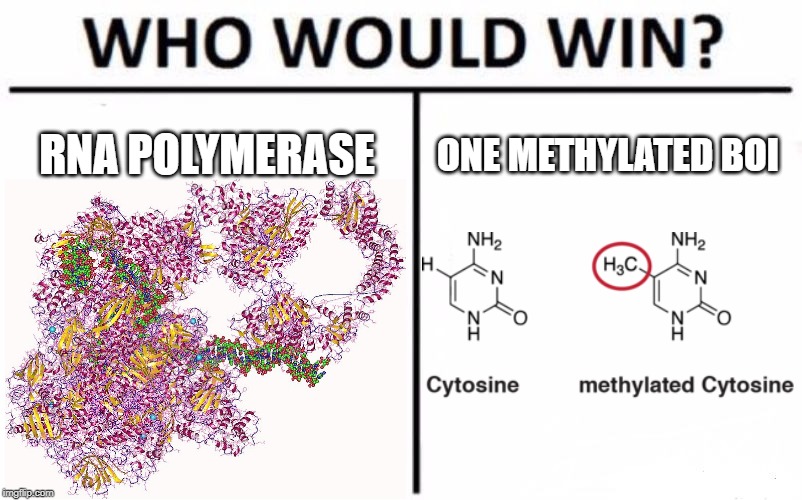 David Vs. Goliath: Molecular Edition