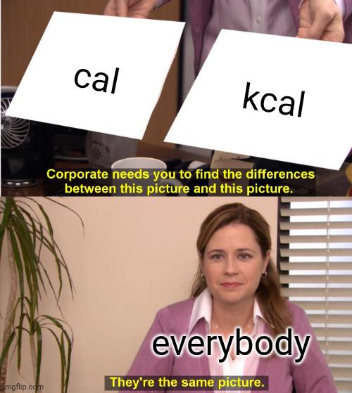 The Calorie Conundrum: They're The Same Picture!