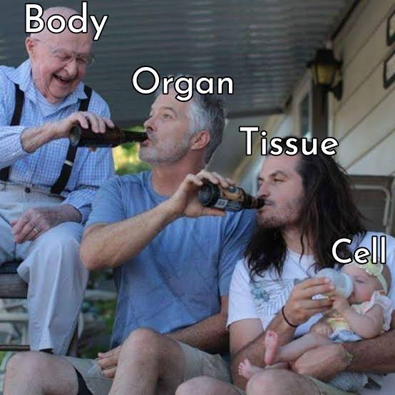The Biological Beer Chain Of Life