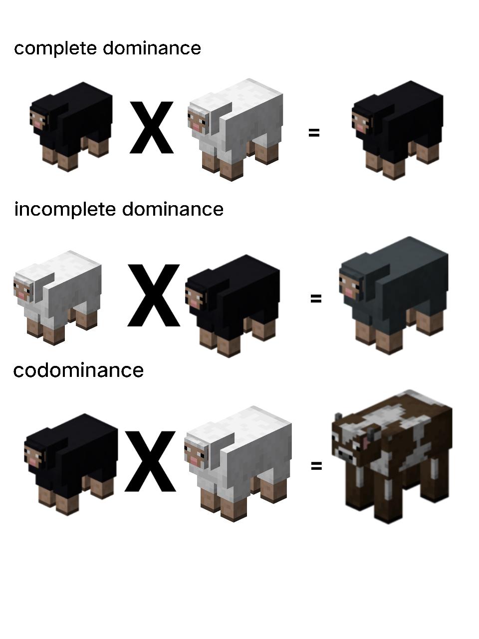 Minecraft Genetics: Where Blocky Sheep Teach Heredity