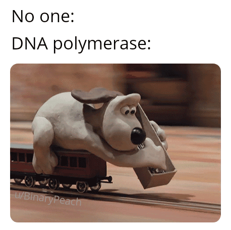 A Wallace And Gromit Meme For You Guys. [Oc]