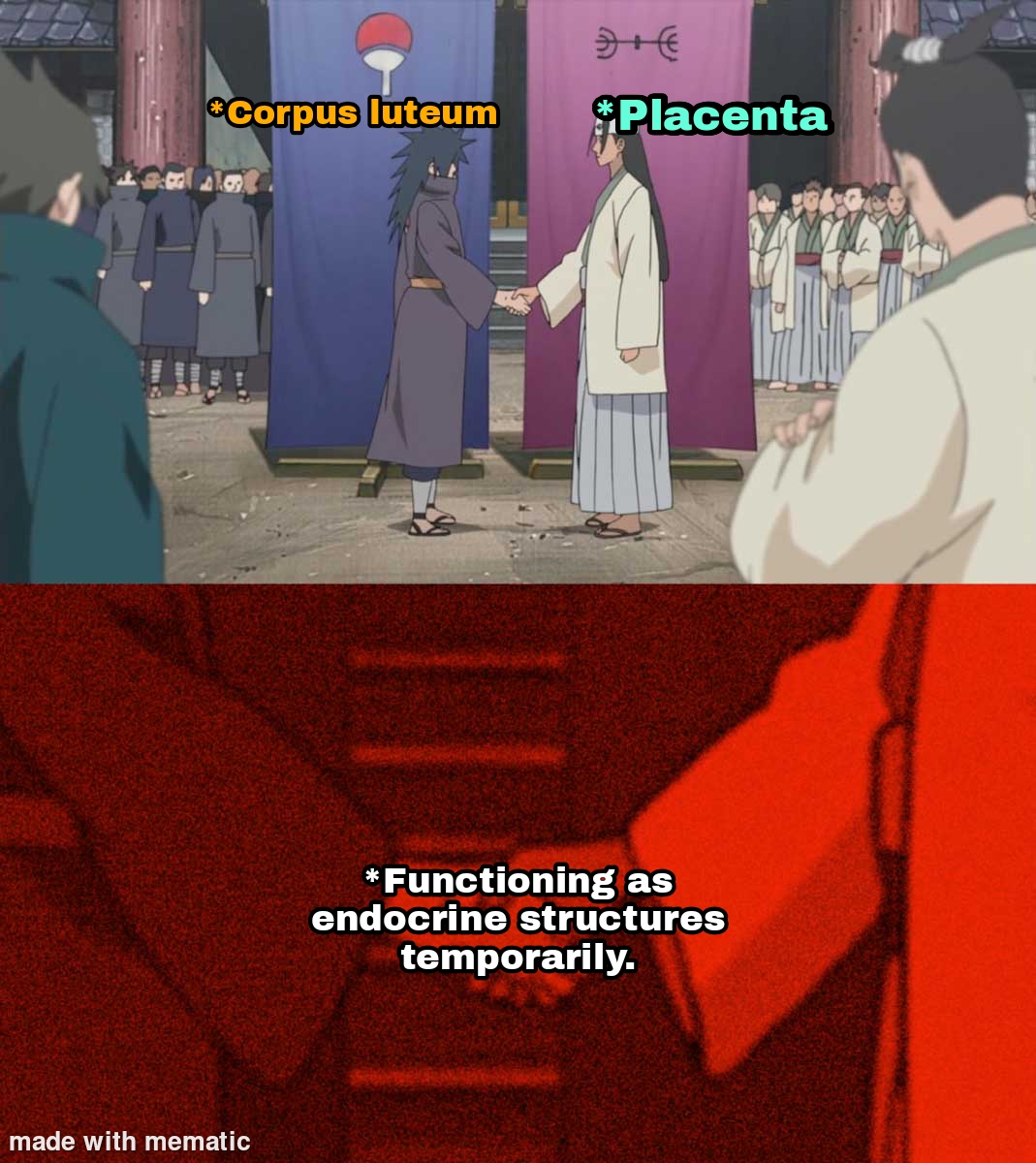 Progesterone Supremacy