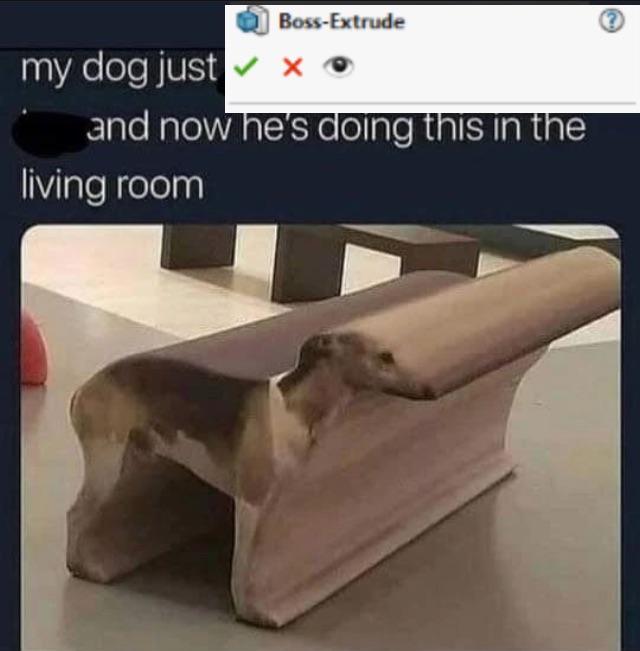 When Your Dog Gets Caught In The CAD Software