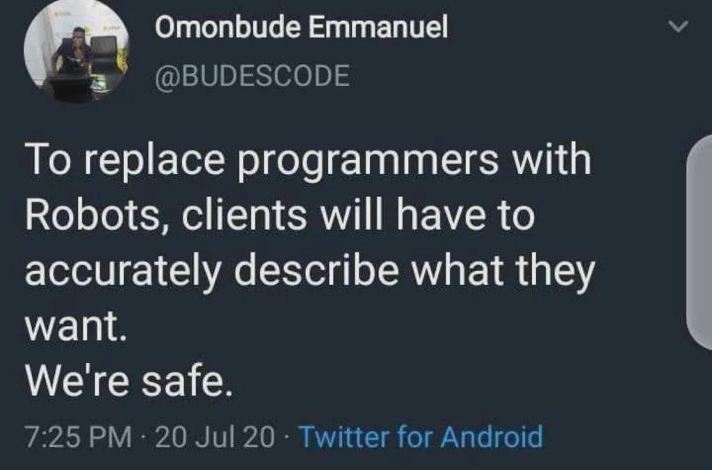 Programmers: The Untouchable Tech Species