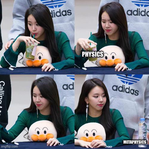 Physics Vs. Metaphysics: A Duck's Perspective