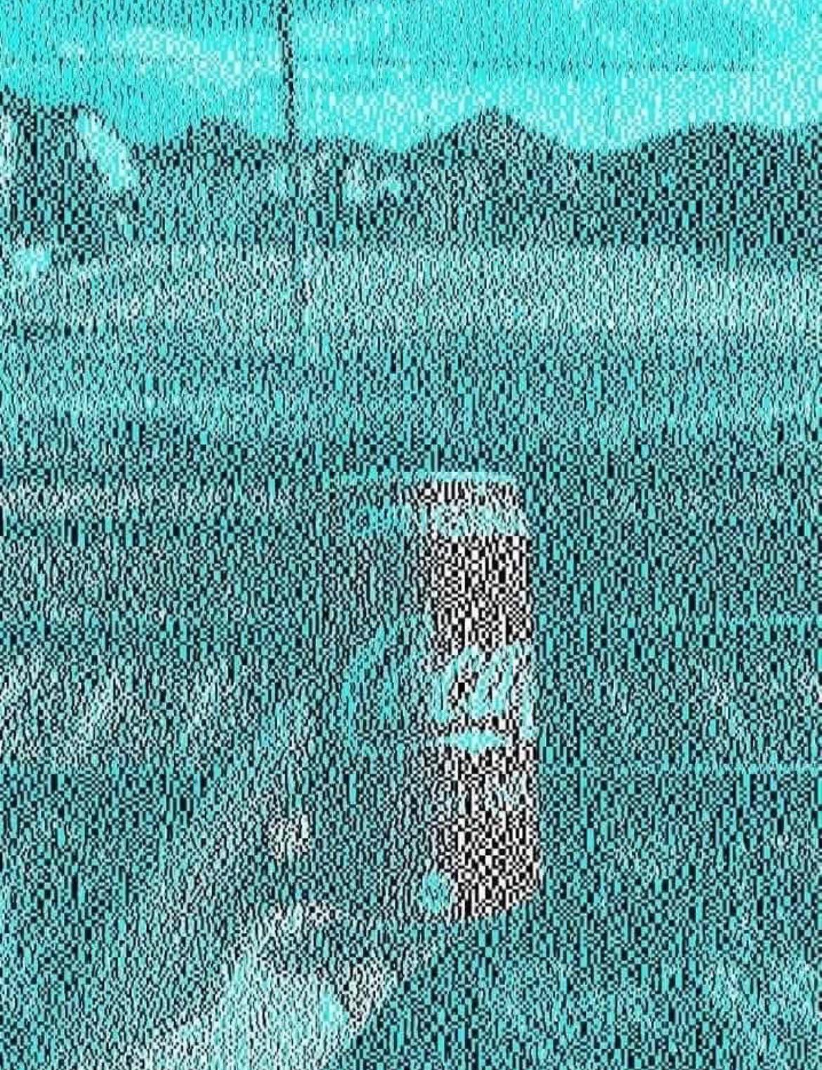There Is No Red In This Picture!