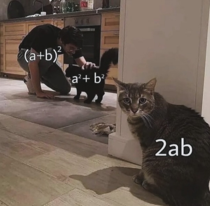 The Purr-fect Binomial Expansion