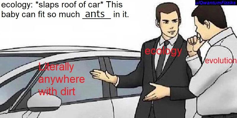 I Swear, I Made This For A Class