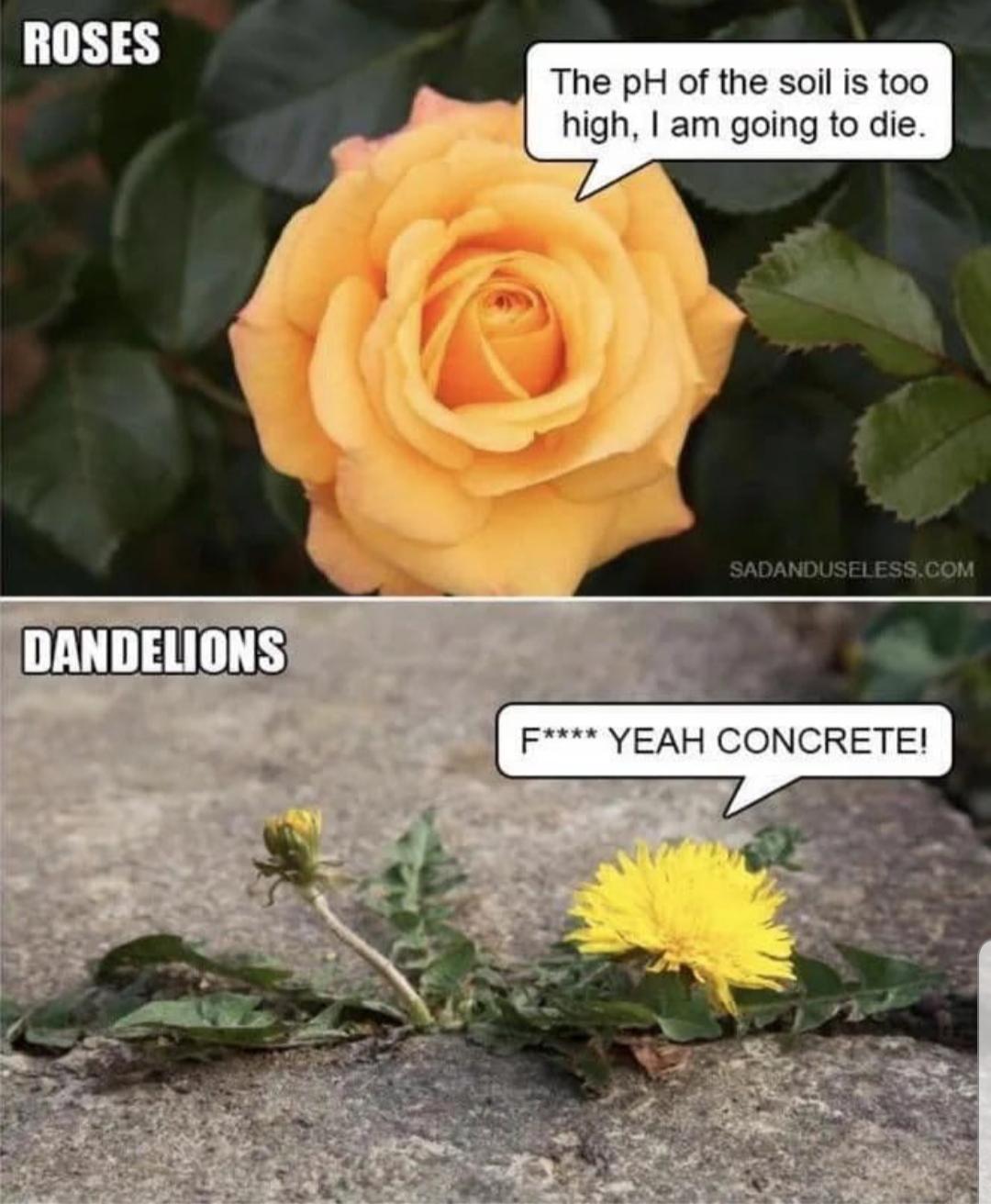 Botanical Class Warfare