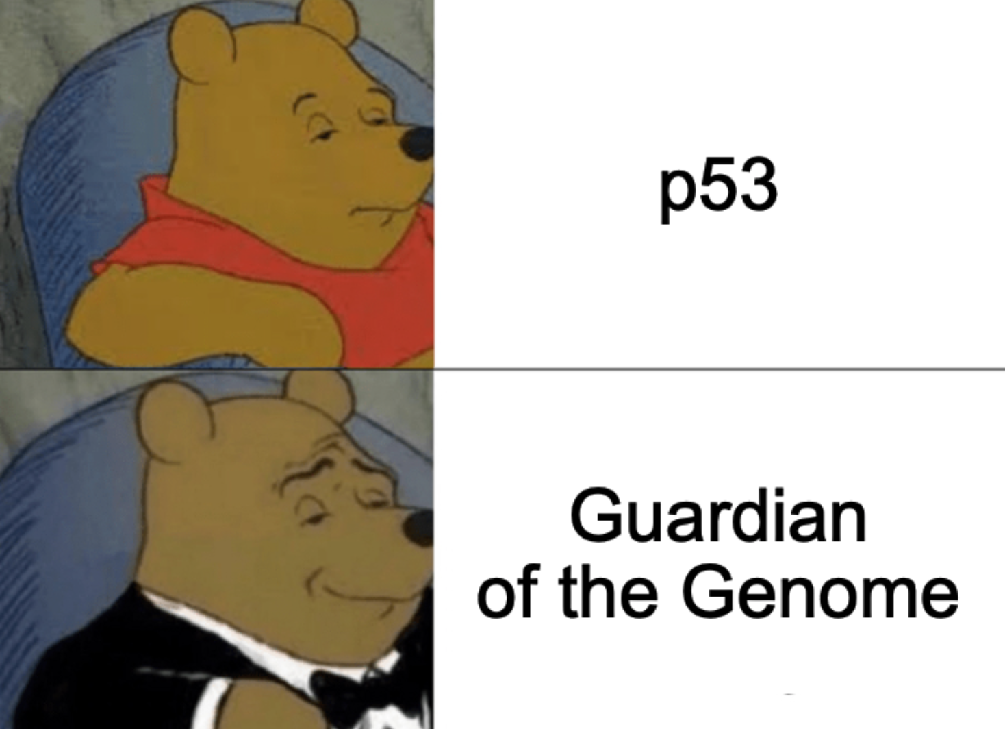 Guardian Of The Genome Sounds Better On Grant Applications