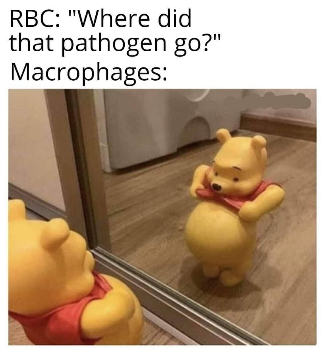 Good Guy Macrophages