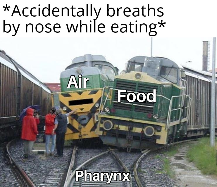 The Evolutionary Traffic Accident