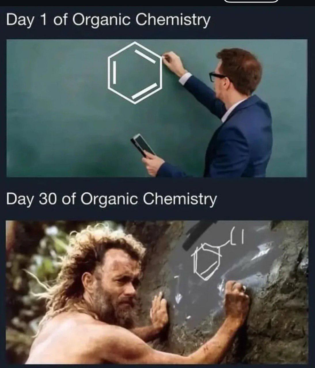 Life Of An Organic Chemist