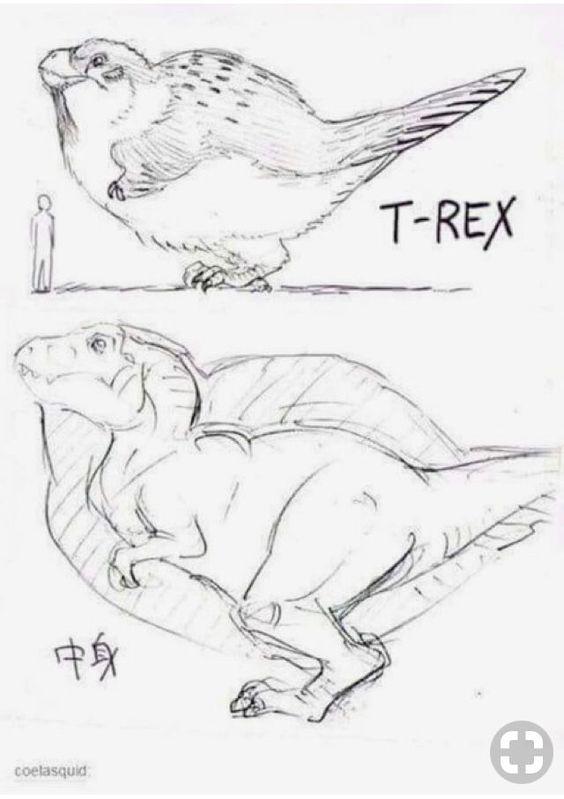 From Ferocious To Feathered