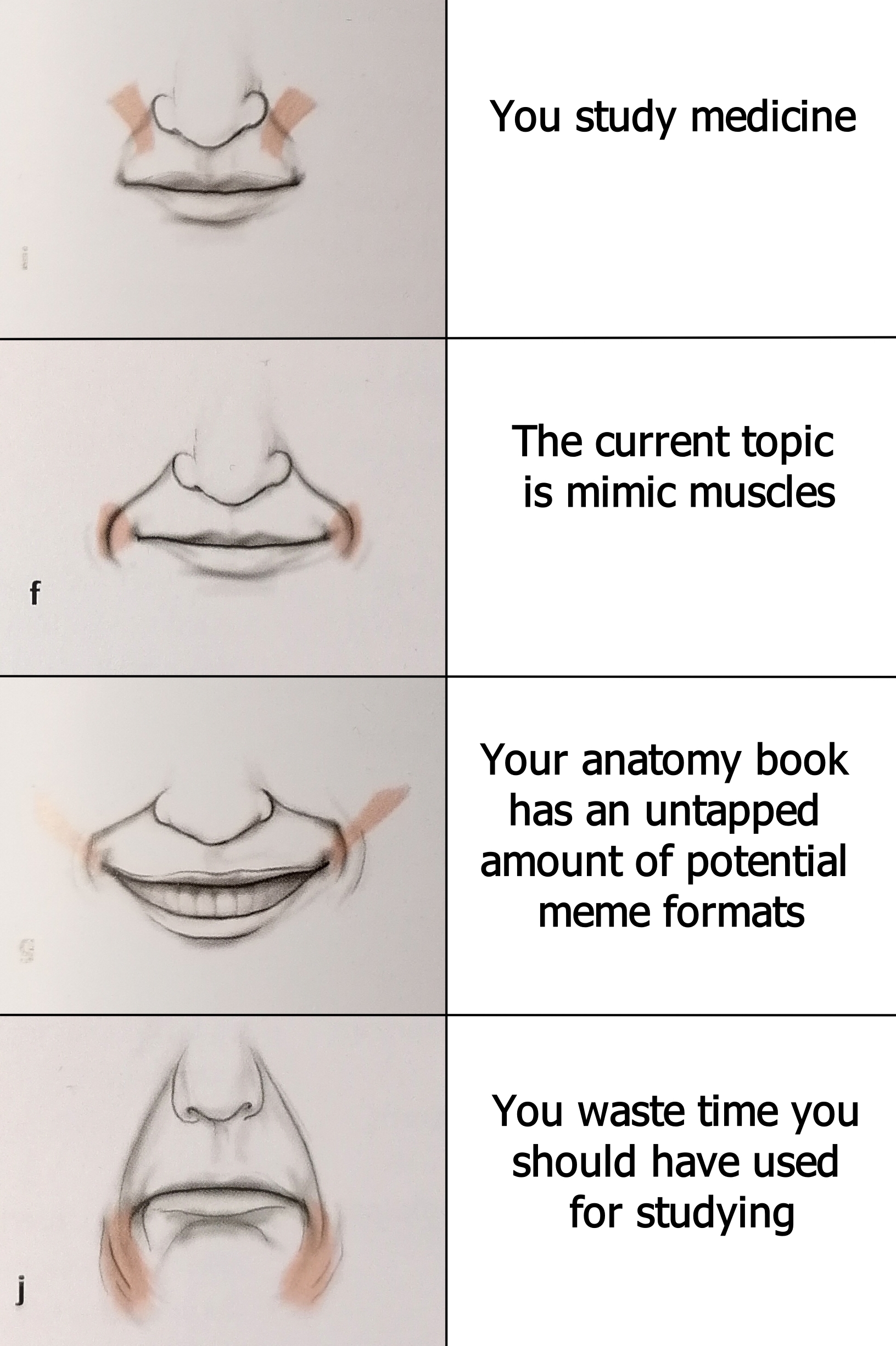 The Facial Anatomy Of Procrastination