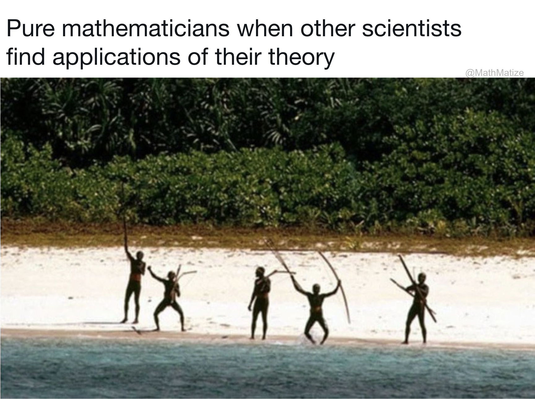 Pure Mathematicians' Existential Crisis