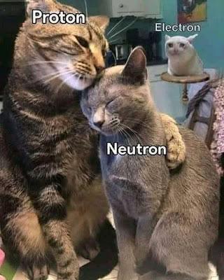 The Atomic Family Portrait