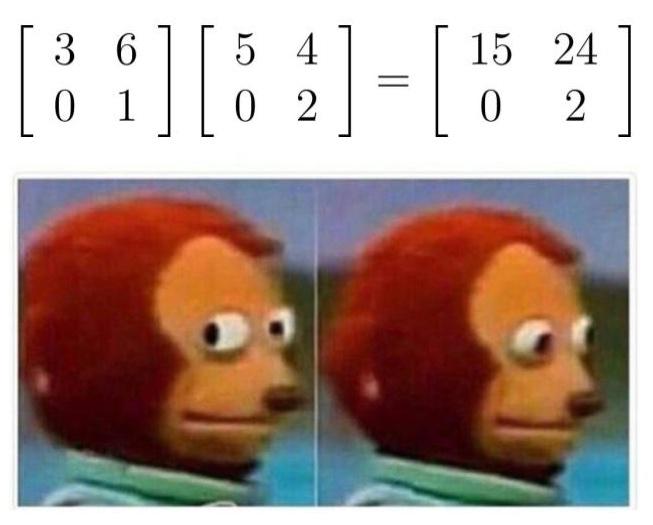 When Matrix Multiplication Feels Like A Crime You Got Away With