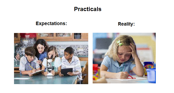 Expectations Vs. Reality: The Lab Practical Experience
