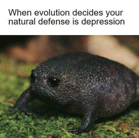 Evolution's Grumpy Defense Strategy