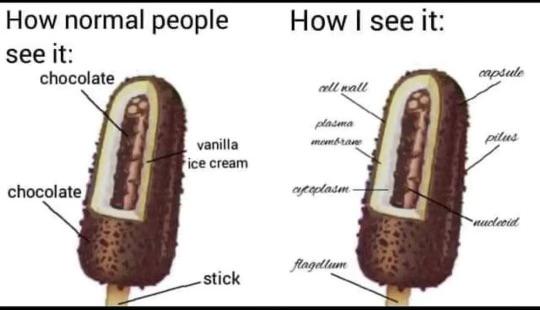 The Cellular Anatomy Of Dessert