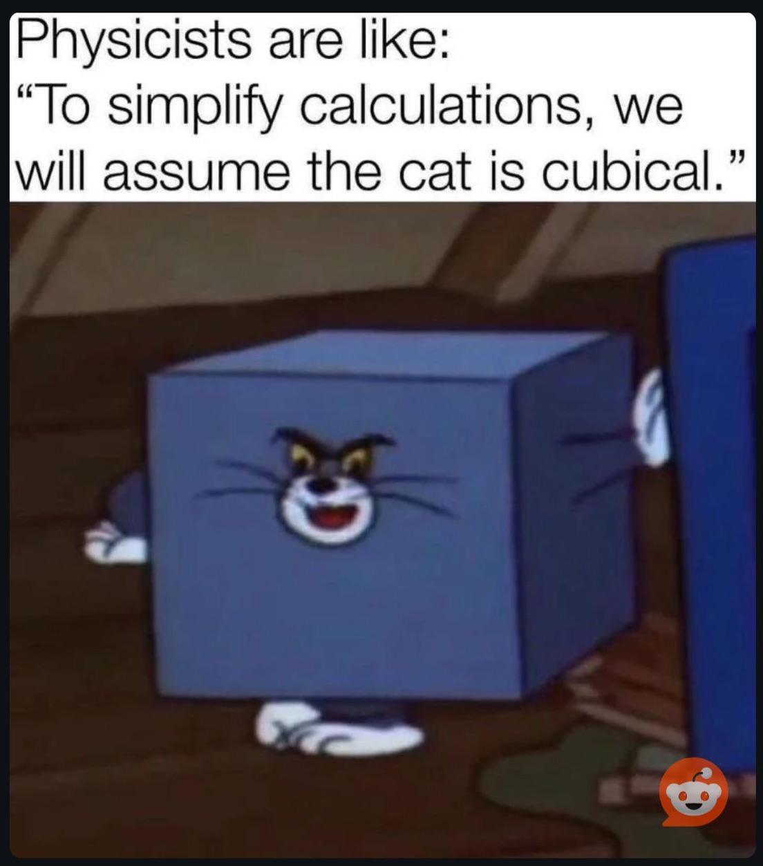 Cubical Cat: When Physics Meets Feline Geometry