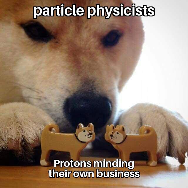 The Standog Model Of Particle Physics