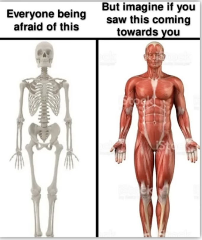 Pick Your Poison: Anatomy Edition