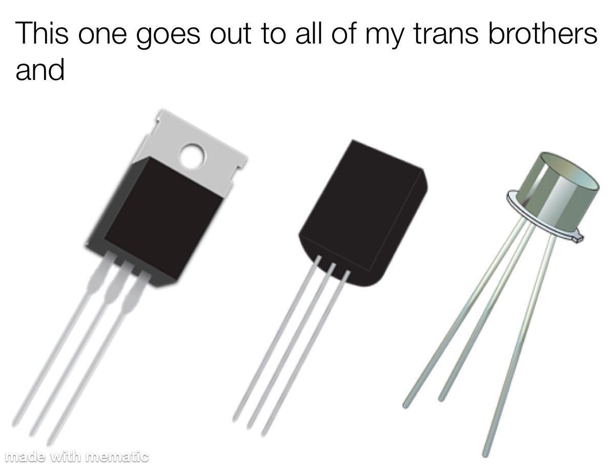 Trans-Sisters In Circuits