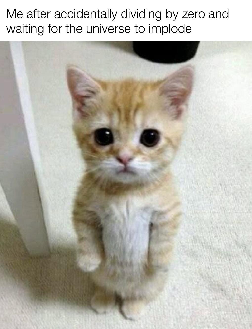 Mathematical Catastrophe Kitten