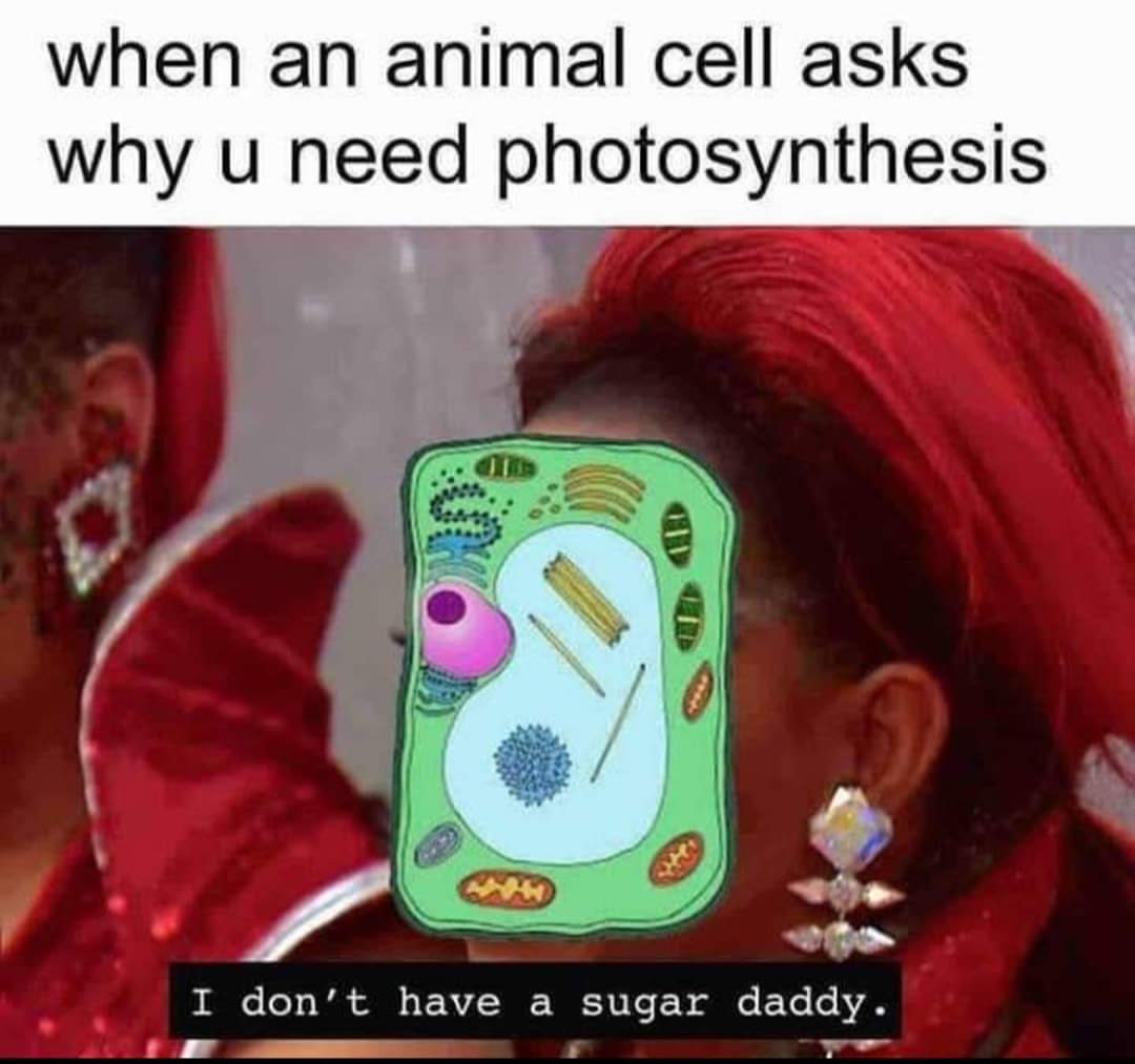 I'm Not That Type Of Cell!