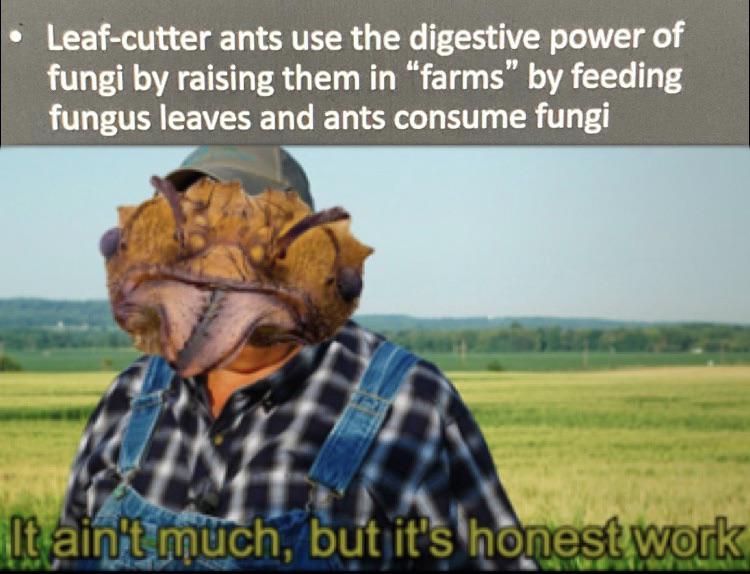 Tiny Farmers With Six-Figure Efficiency