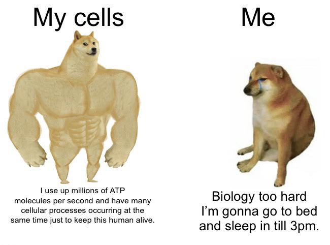 Y'all Working Too Hard For Me