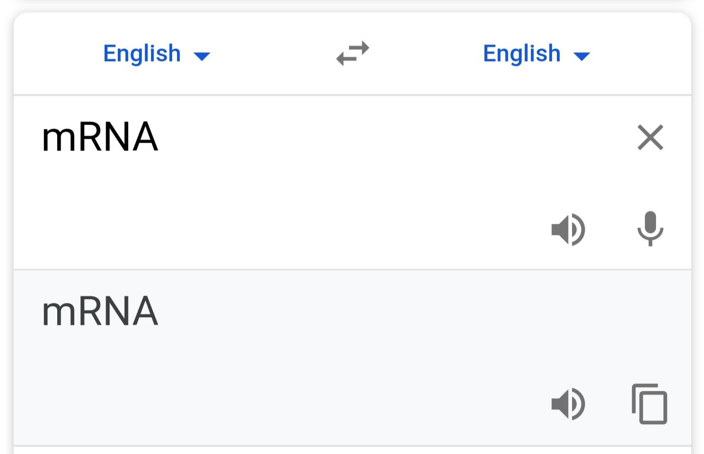 Translation Or Smth Idk I Don't Take Biology