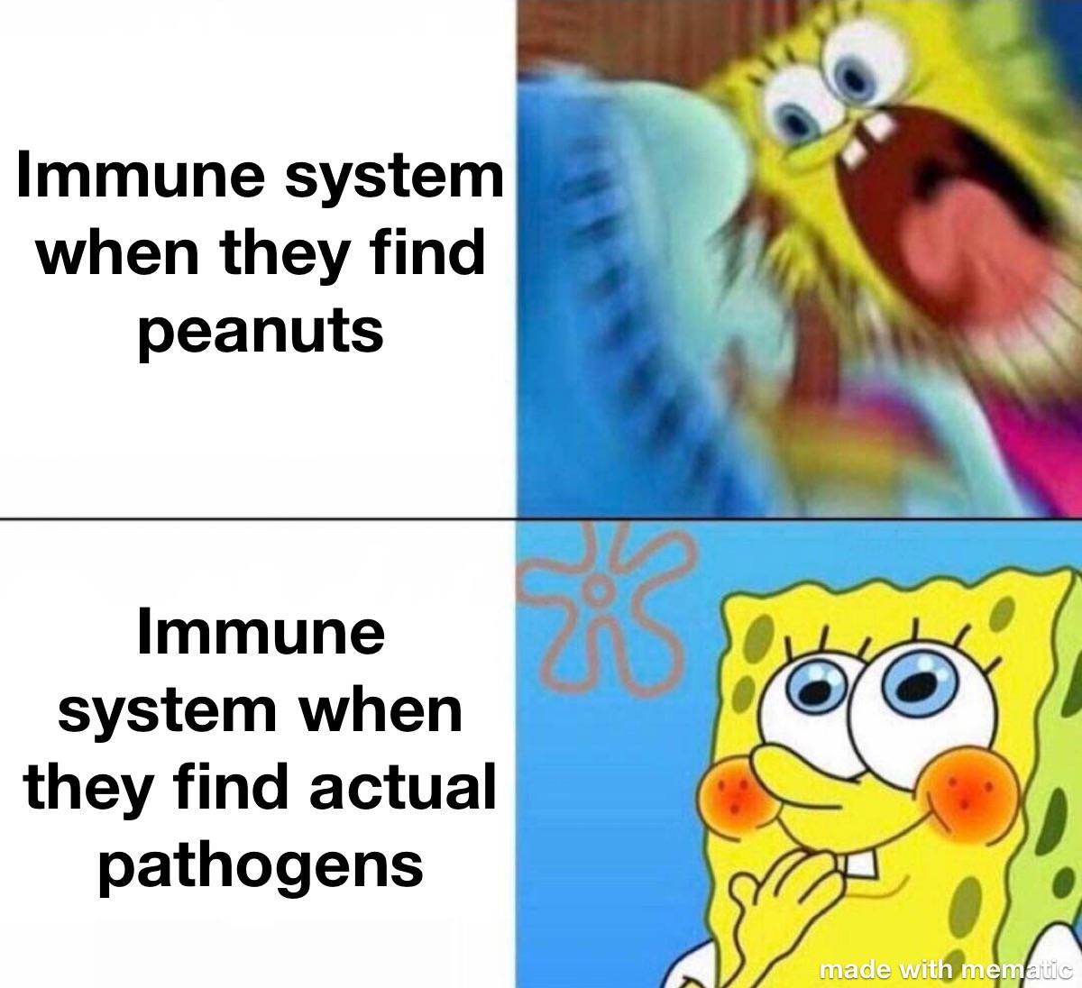You're Attacking The Wrong One, Immune System