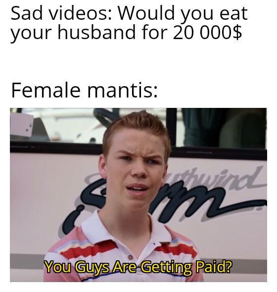 You Guys Are Getting Paid?