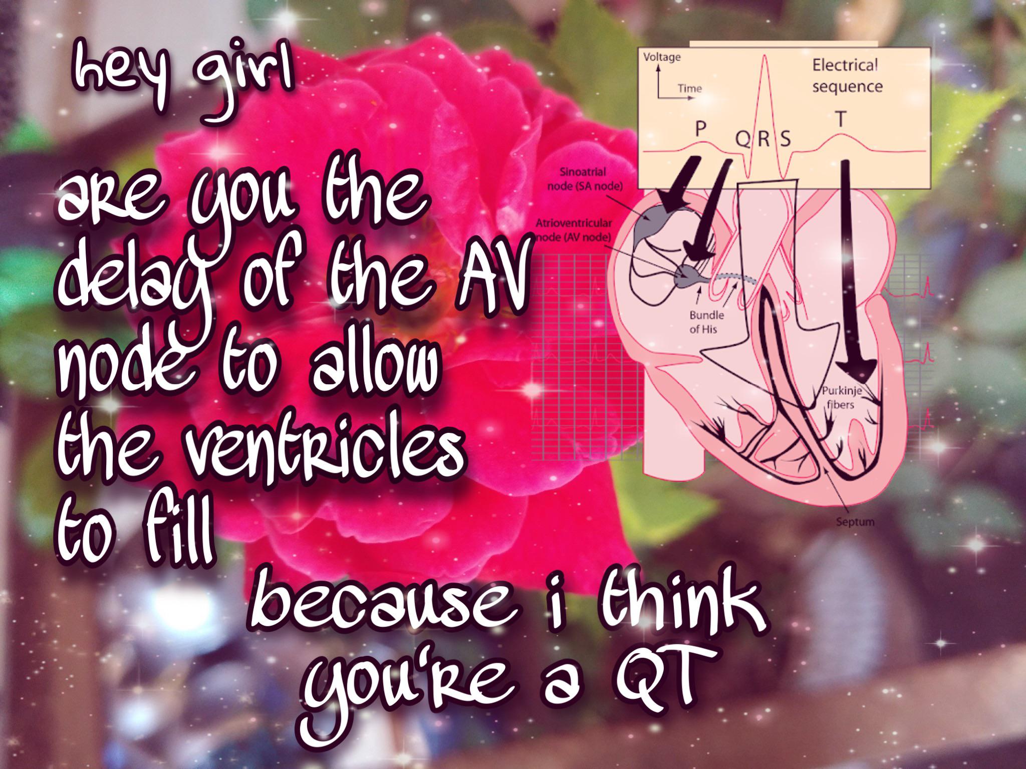 Hey Girl, I Like Your Healthy Heart