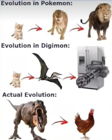 This Is Reel Evolution