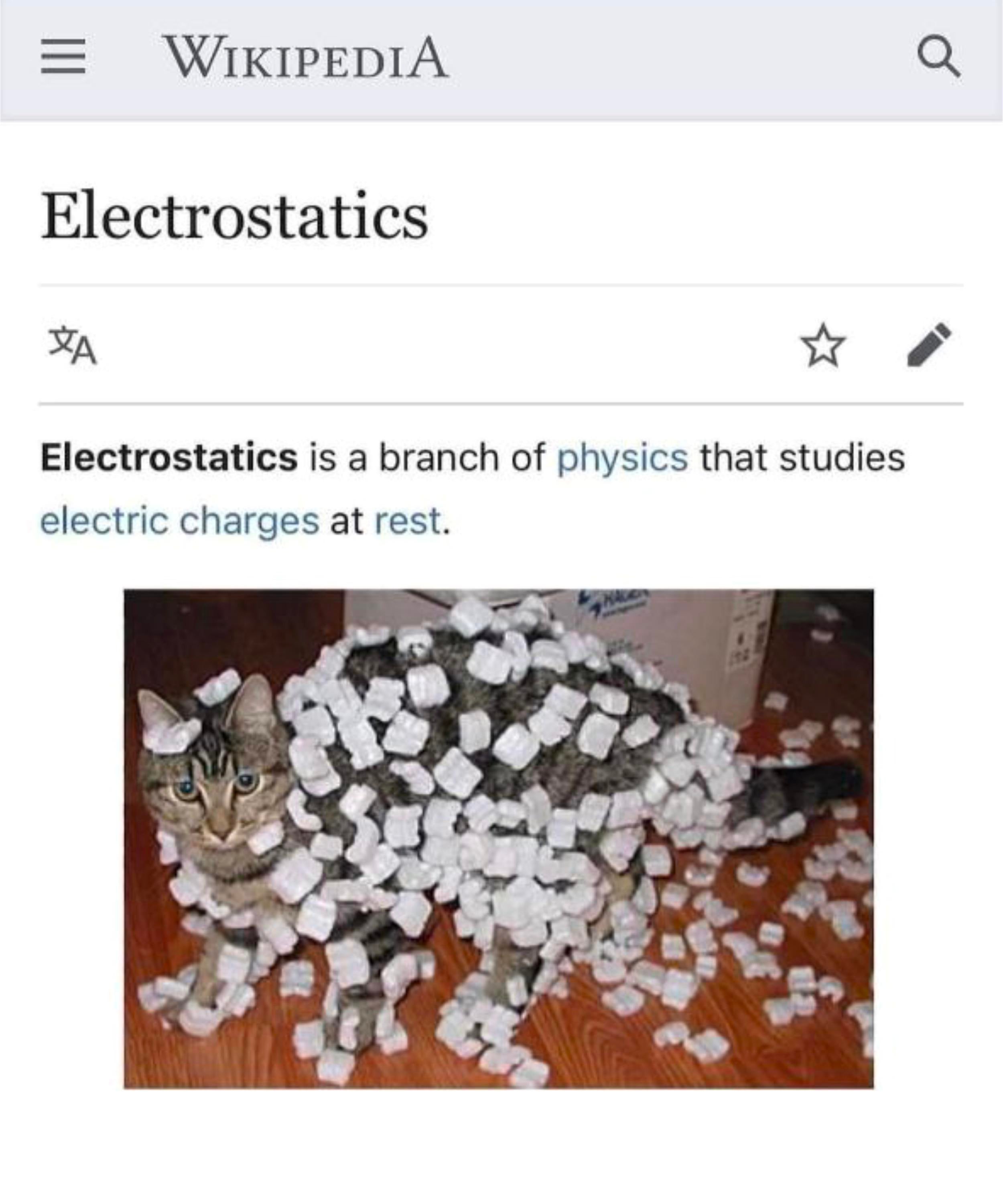 Electrostatics: When Your Cat Becomes A Walking Physics Demonstration