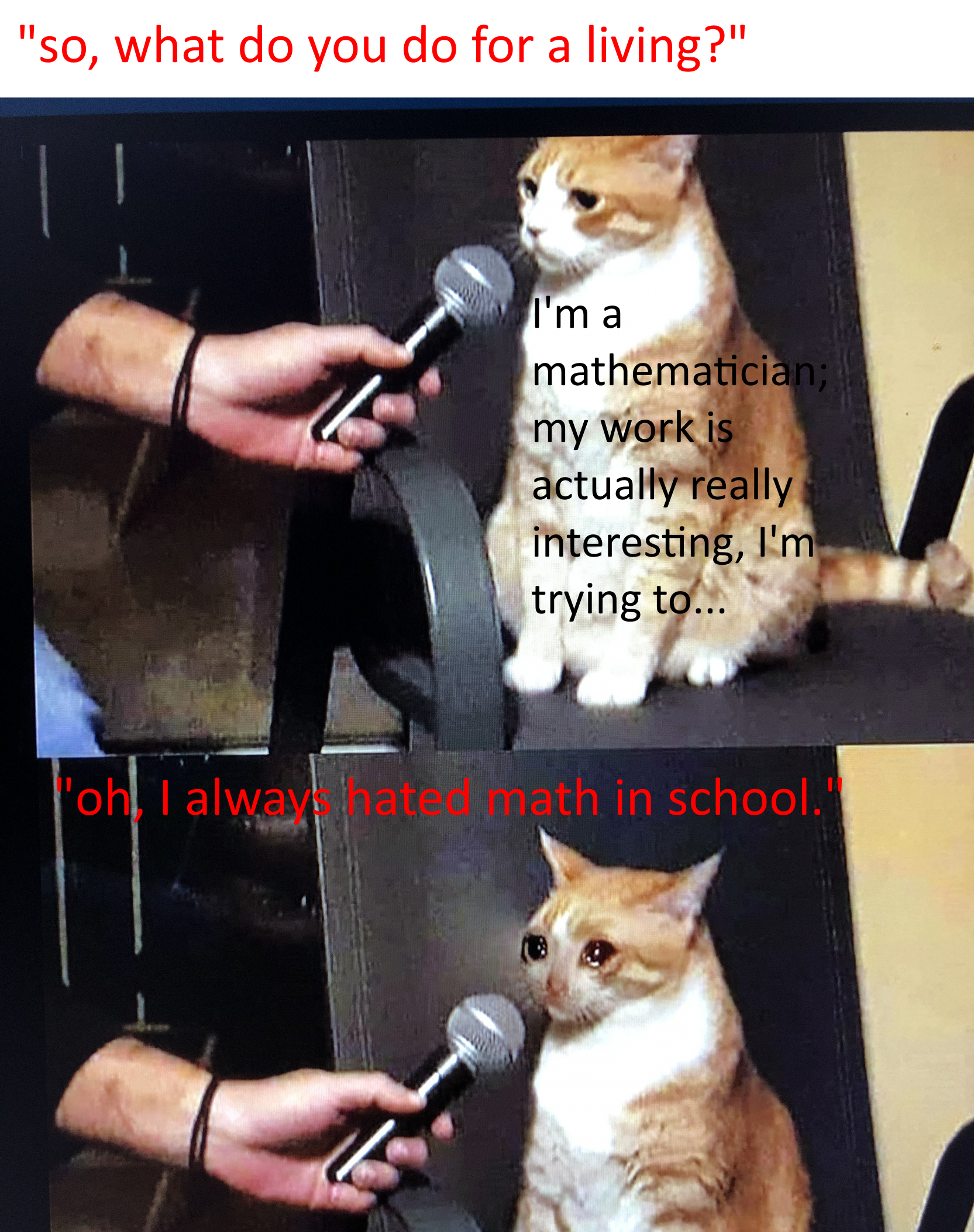 *Sad Cat-Ematician Noises*