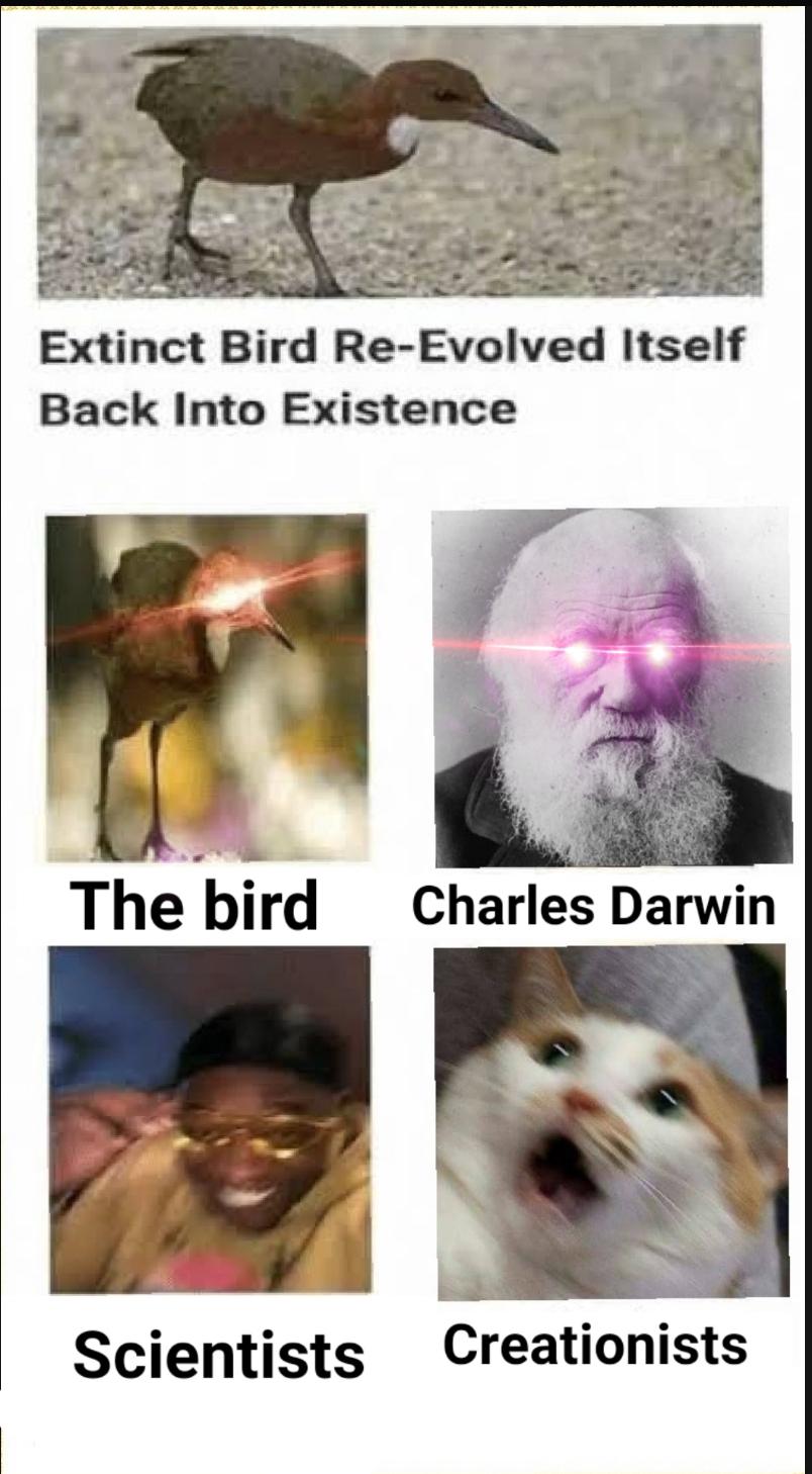 Darwin's Evolutionary Uno Reverse Card