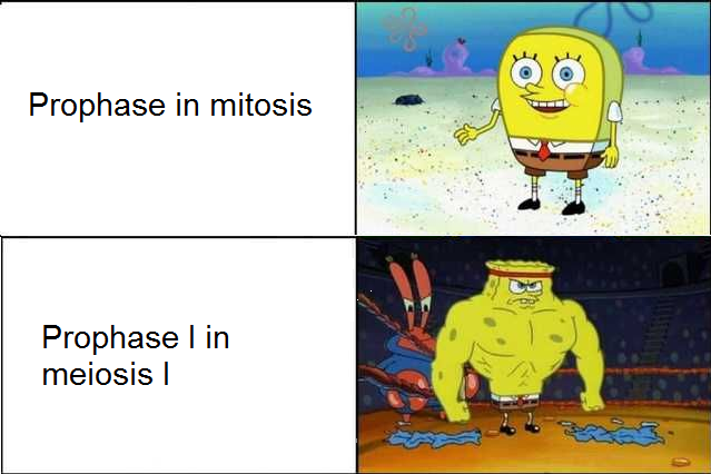 Was A Pain To Read
