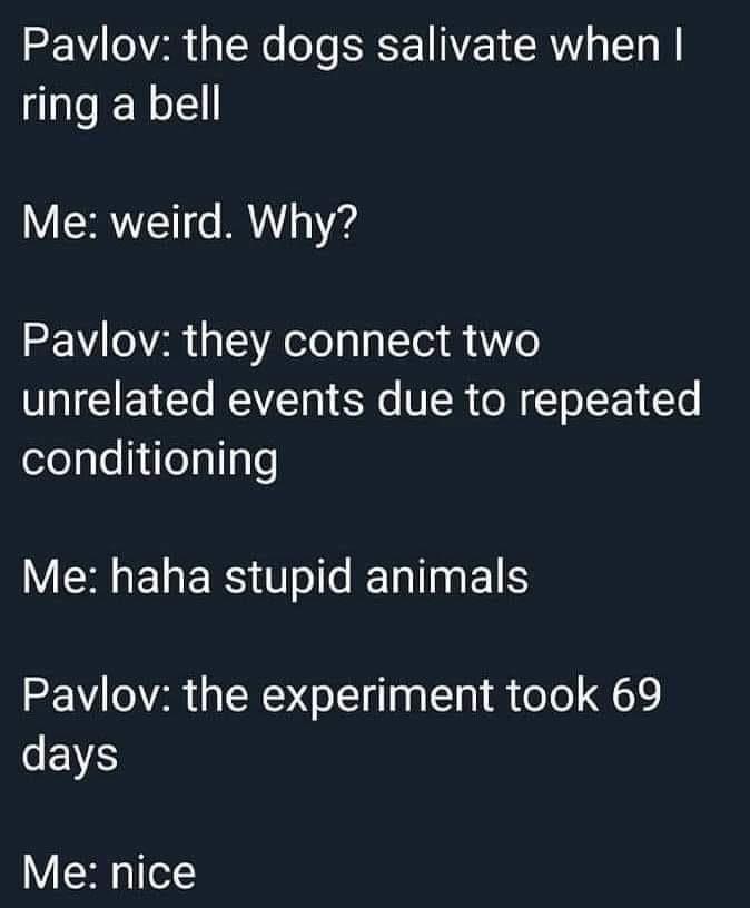 Humans: Just Bigger Dogs With Memes