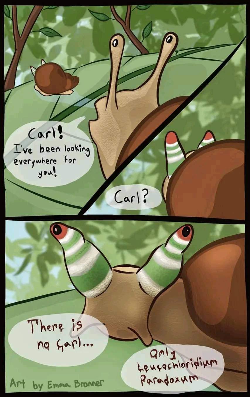 Poor Carl: The Zombie Snail Chronicles