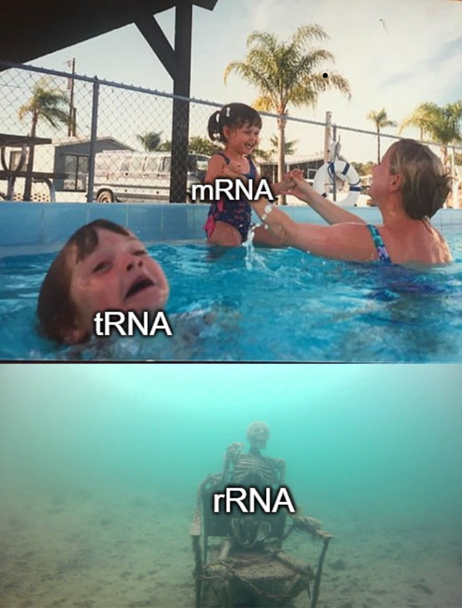 The RNA Family Drama: Neglected Nucleotides